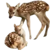🦌