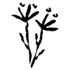 🌱