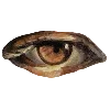 👀