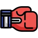 🥊