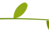 🌿