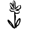 🌱