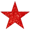 🌟