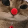 🤡