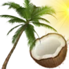 🥥
