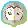 🦉