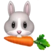 🐰
