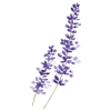 💜