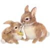 🐇