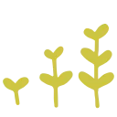 🌼