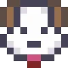 🐶