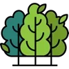 🌳