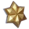 🌟