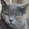 😒