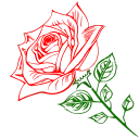 🌹