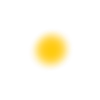 🟡
