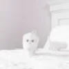👋