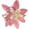 🌸