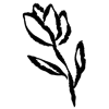 🌱