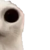 🙀
