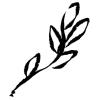 🌱