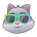 😼