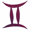 ♊️