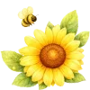 🍋