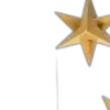 🌟