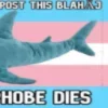 🏳️‍⚧️