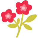 🌼