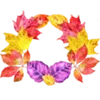 🍂
