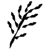 🌱