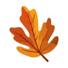 🍁