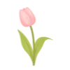 🌷