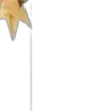 🌟