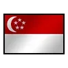 🇸🇬