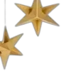 🌟