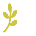 🌼