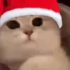 🥺