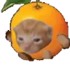 🍊