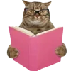 🐱