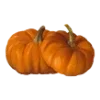 🎃