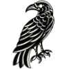 🐦‍⬛️