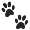 🐾