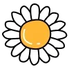 🌼