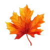 🍁