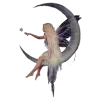 🌙