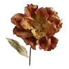 🌺