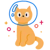 🐈
